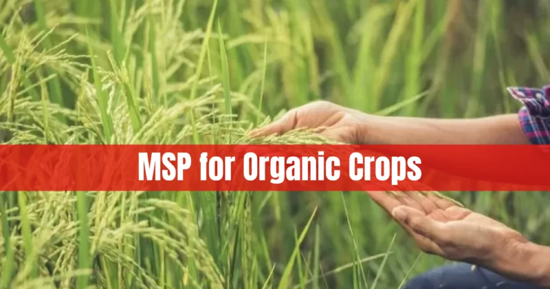 HP Govt announces MSP for crops grown through natural farming