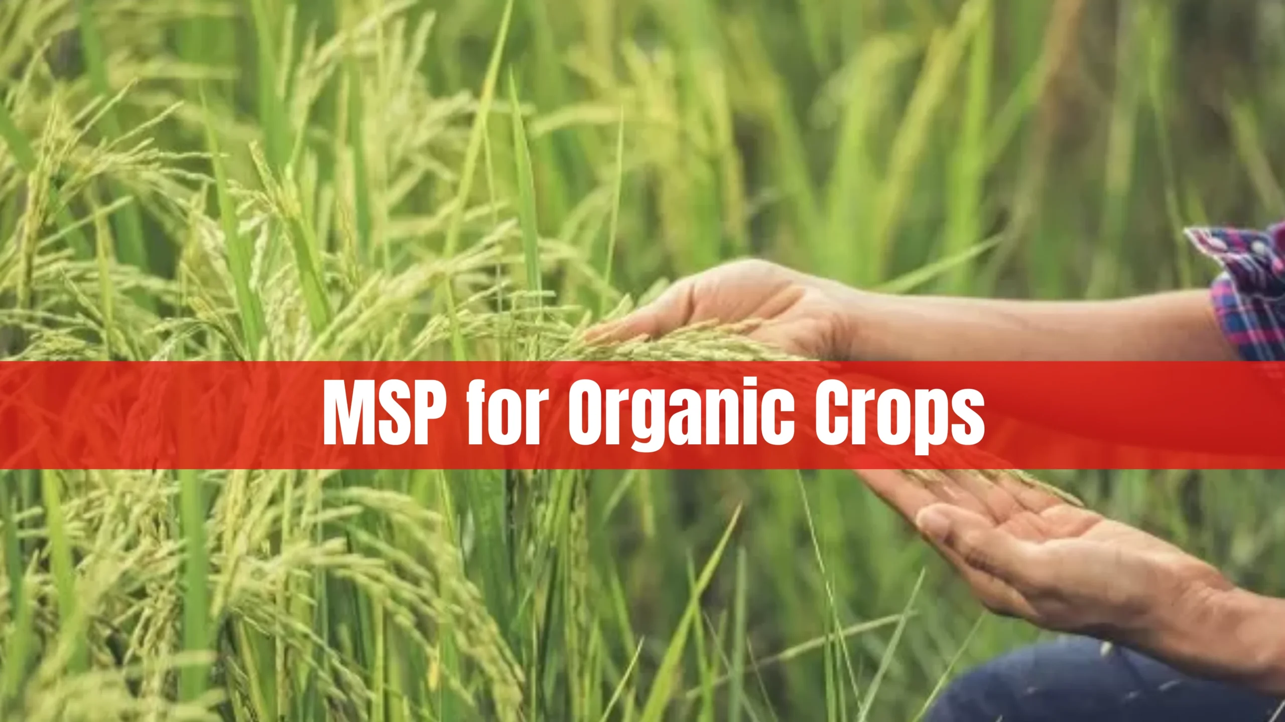 HP Govt announces MSP for crops grown through natural farming