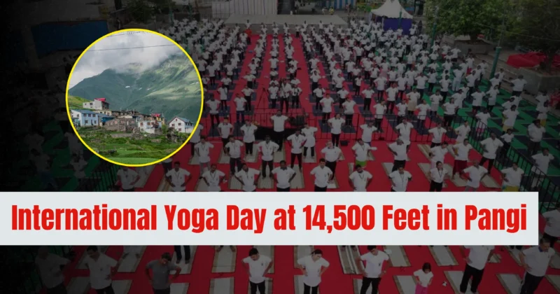 Chamba District Celebrates International Yoga Day at 14,500 Feet in Pangi