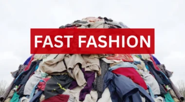 How Fast Fashion Brands Are Fueling Global Textile Waste Crisis