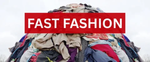 How Fast Fashion Brands Are Fueling Global Textile Waste Crisis