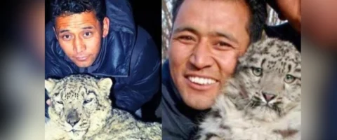 Meet the “Ghost Rescuer” Khenrab Phuntsog, Who Saved 47 Snow Leopards