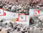 3 Punjab Tourists Swept Into Parvati River While Taking Selfies in Manikaran