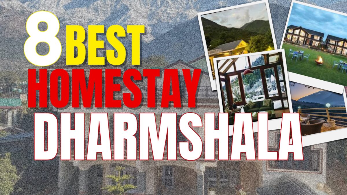 Best Affordable Homestays in Dharamshala: 8 Budget Gems in McLeod Ganj, Naddi & Dharamkot to Book in 2026