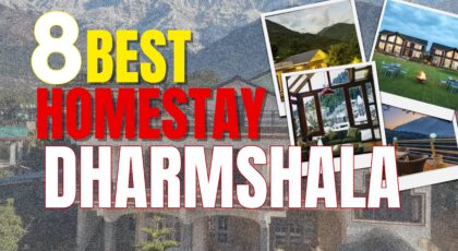 Best Affordable Homestays in Dharamshala: 8 Budget Gems in McLeod Ganj, Naddi & Dharamkot to Book in 2026
