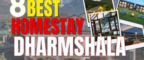 Best Affordable Homestays in Dharamshala: 8 Budget Gems in McLeod Ganj, Naddi & Dharamkot to Book in 2026