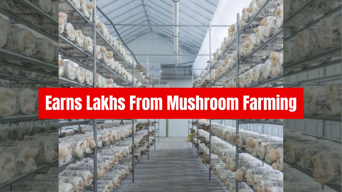 Kangra’s Pranav Dhar Quit Bank Job, Now Earns Lakhs From Mushroom Farming