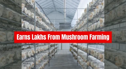 Kangra’s Pranav Dhar Quit Bank Job, Now Earns Lakhs From Mushroom Farming